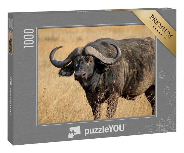 Puzzle 1000 Teile „Afrikanischer Büffel oder Kap-Büffel, einer der Big Five“