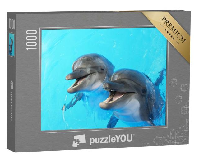 Puzzle 1000 Teile „Zwei Delfine schwimmen im Pool“