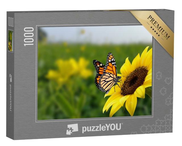 Puzzle 1000 Teile „Monarchfalter auf einer Sonnenblume“