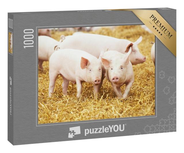 Puzzle 1000 Teile „Ferkel auf Heu und Stroh“