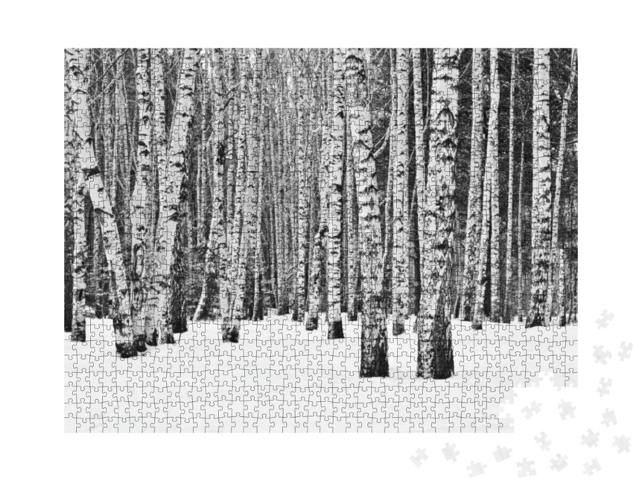 Puzzle 1000 Teile „Birkenwald zur Winterzeit“