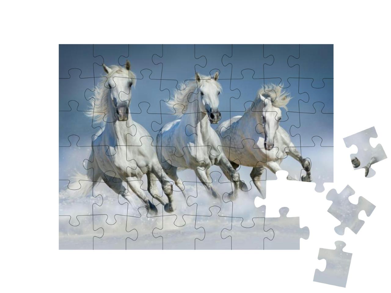 Puzzle 48 Teile „Gruppe von arabischen Pferden läuft im Galopp durch den Schnee“