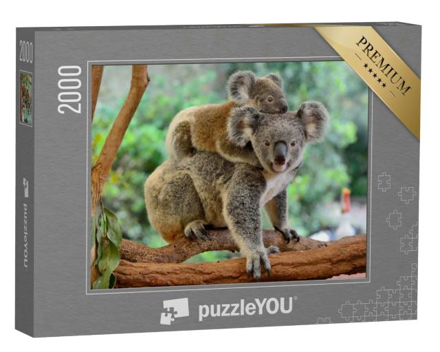 Puzzle 2000 Teile „Koala-Mutter mit Baby auf dem Rücken auf einem Eukalyptusbaum“