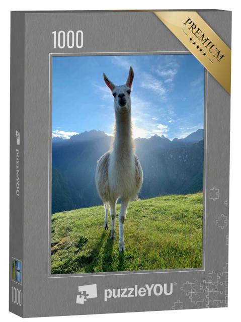 Puzzle 1000 Teile „Weißes Lama in den Anden, Peru“