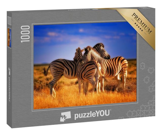 Puzzle 1000 Teile „Drei Zebras machen eine Pause“