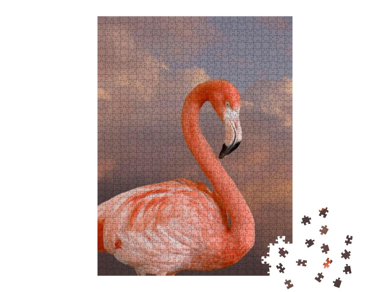 Puzzle 1000 Teile „Amerikanischer Flamingo“
