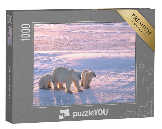 Puzzle 1000 Teile „Eisbär mit Jungtieren in der kanadischen Arktis“