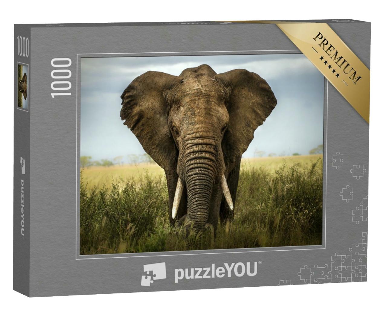 Puzzle 1000 Teile „Portrait eines Elefanten“