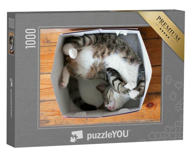 Puzzle 1000 Teile „Gestreifte schlafende Katze, Pappschachtel als Bett“