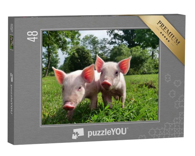 Puzzle 48 Teile „Zwei Ferkel auf einer grünen Wiese“