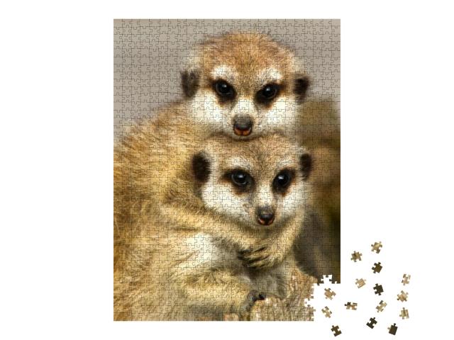 Puzzle 1000 Teile „Ein Paar Schlankschwanz-Erdmännchen “