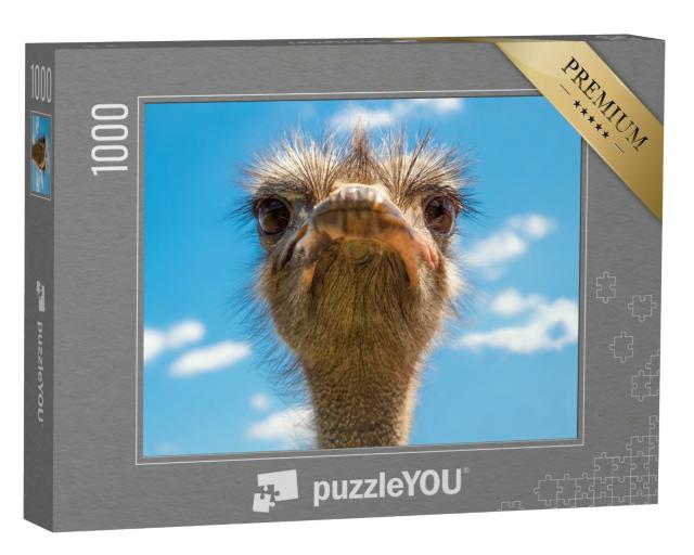 Puzzle 1000 Teile „Porträt von Straußenkopf, Afrikanischer Strauß  “