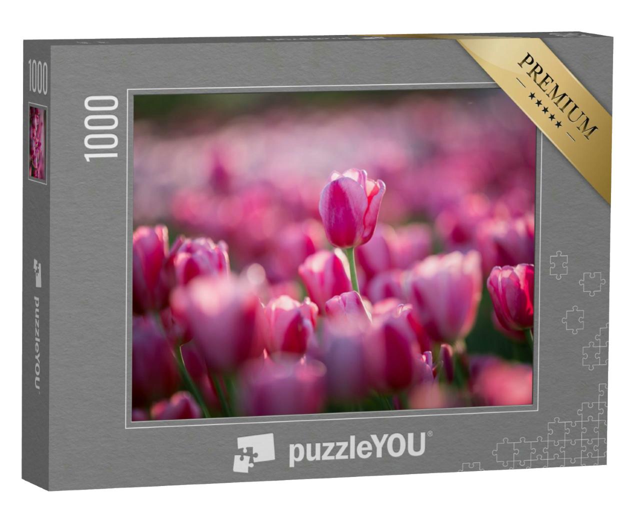 Puzzle 1000 Teile „Rosa Tulpen auf dem Feld“