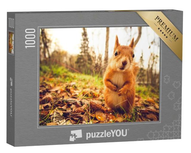 Puzzle 1000 Teile „Eichhörnchen “