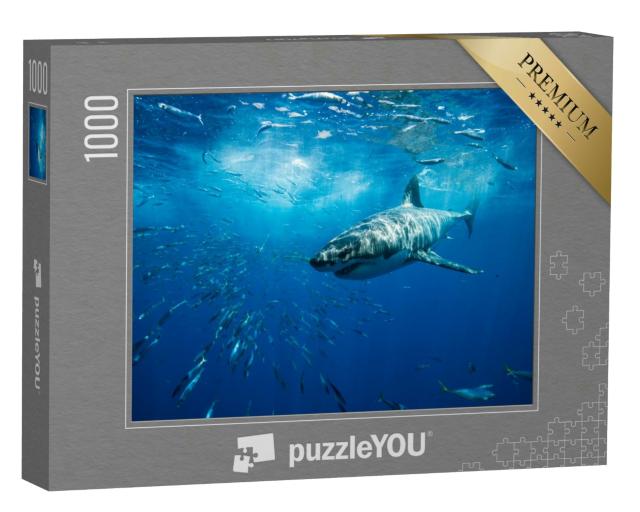 Puzzle 1000 Teile „Majestätischer weißer Hai, Guadalupe Island, Mexiko“