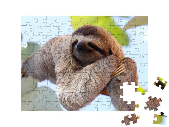 Puzzle 100 Teile „Glückliches Faultier hängt am Baum“