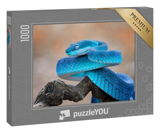 Puzzle 1000 Teile „Blaue Viper “