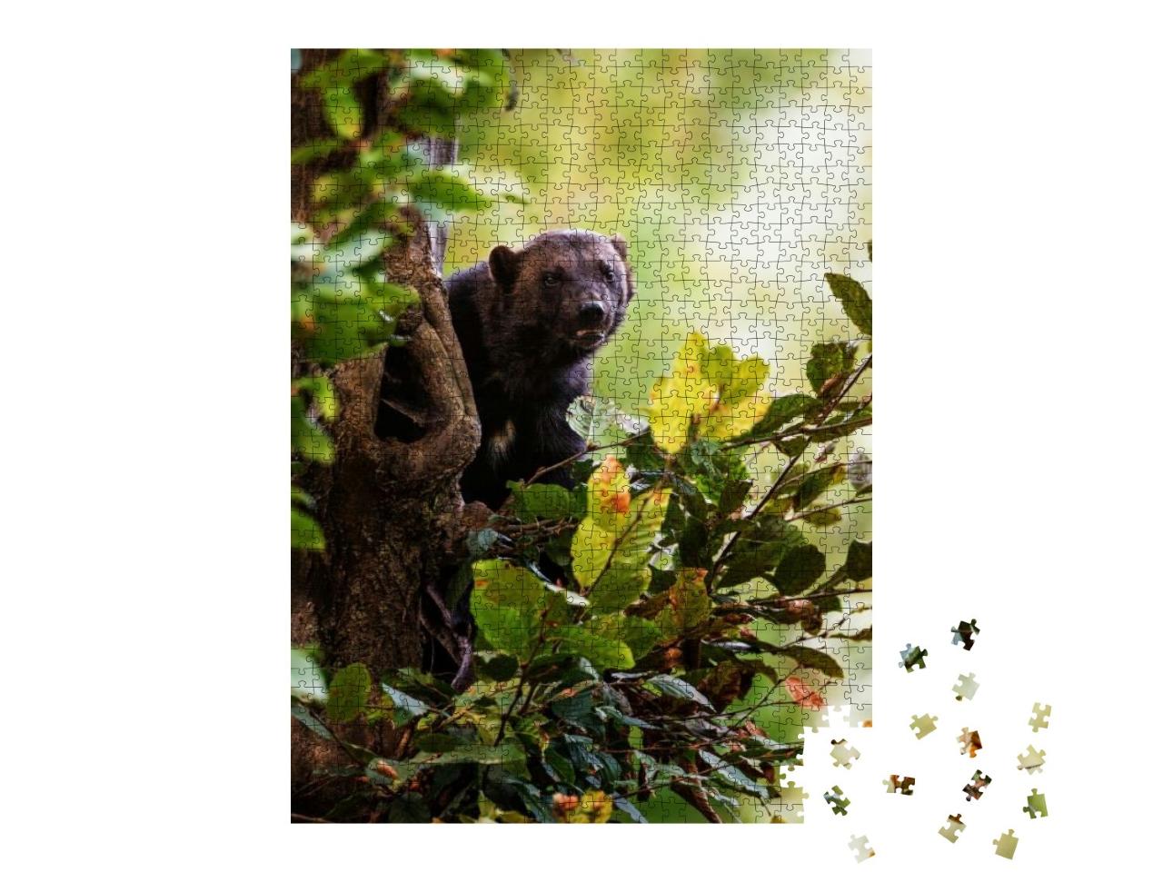 Puzzle 1000 Teile „Ein Vielfraß klettert auf einen Baum“