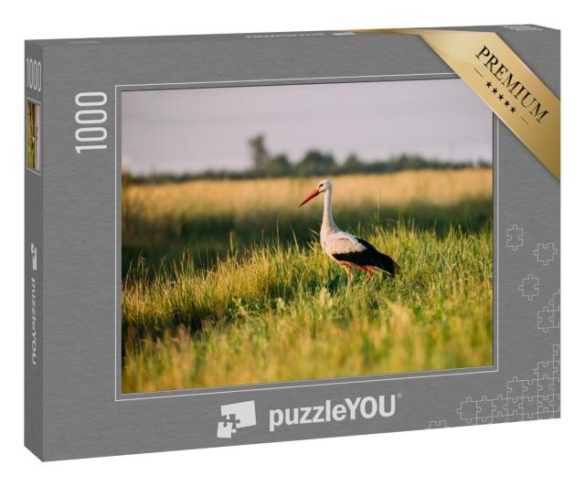 Puzzle 1000 Teile „Europäischer Weißstorch im grünen Sommergras“