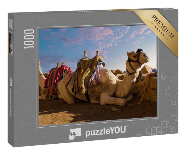 Puzzle 1000 Teile „Dromedar-Kamel vor dem Berg Sinai, Ägypten“