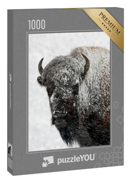 Puzzle 1000 Teile „Bison im Schnee, Yellowstone-Nationalpark“