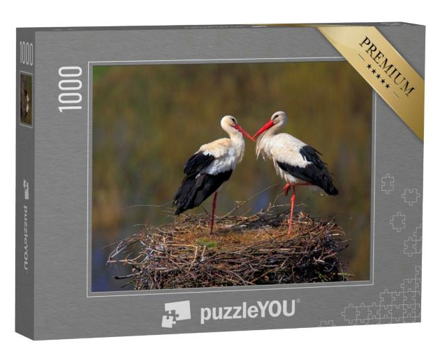 Puzzle 1000 Teile „Weißstorchpaar während der Frühjahrsbrutzeit“