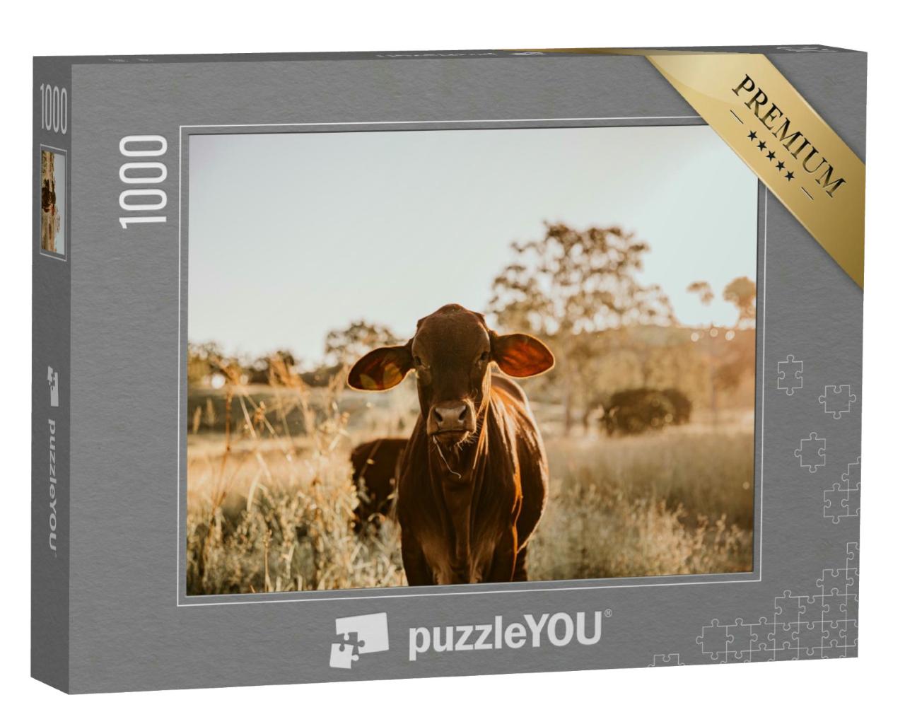 Puzzle 1000 Teile „Junge Kuh im Gras“