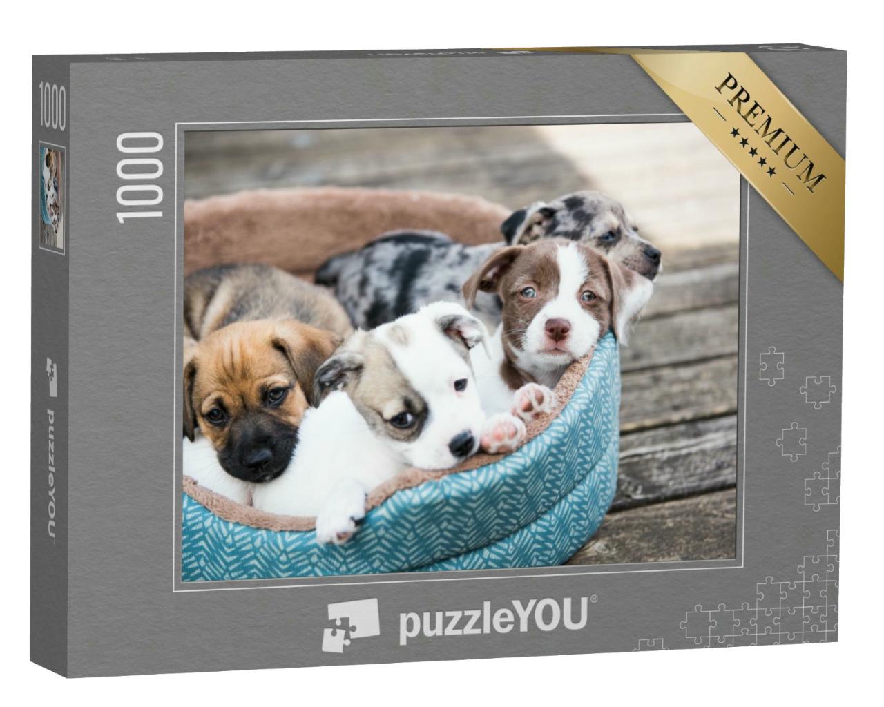 Puzzle 1000 Teile „Terrier-Mix-Welpen auf der Holzterrasse “