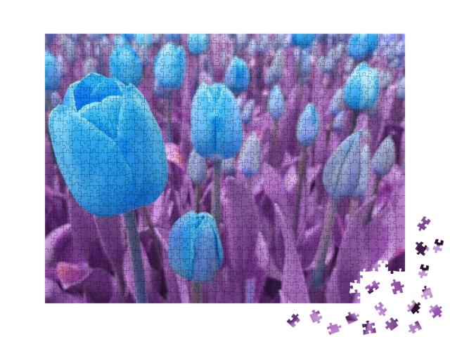 Puzzle 1000 Teile „Strahlend blaue Tulpen mit violetten Bättern“