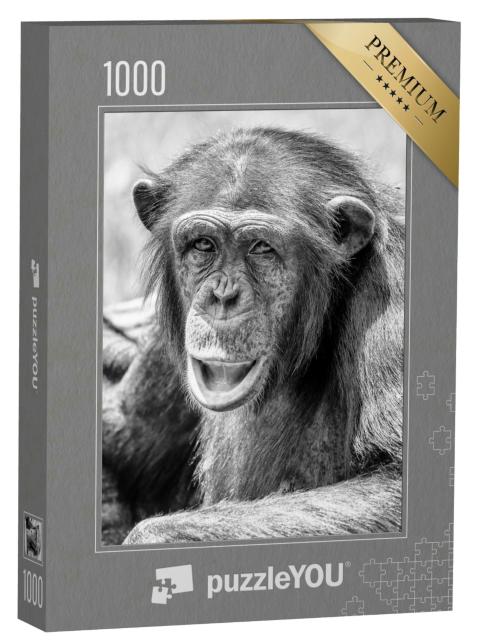 Puzzle 1000 Teile „Afrikanischer Schimpanse “