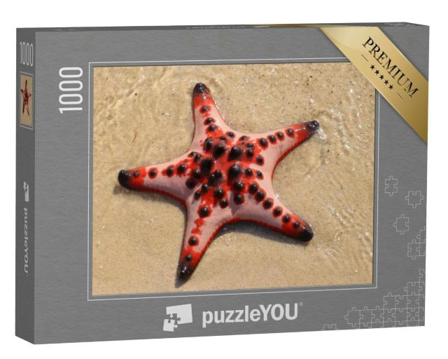 Puzzle 1000 Teile „Roter Seestern am Strand, Phu Quoc Insel, Vietnam“