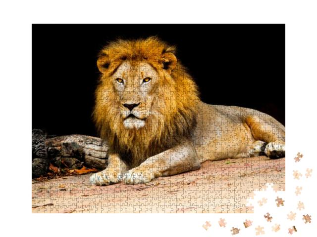 Puzzle 1000 Teile „Ein Löwe“