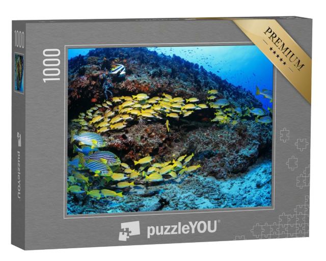 Puzzle 1000 Teile „Korallenriff mit bunten Fischen im Indischen Ozean“