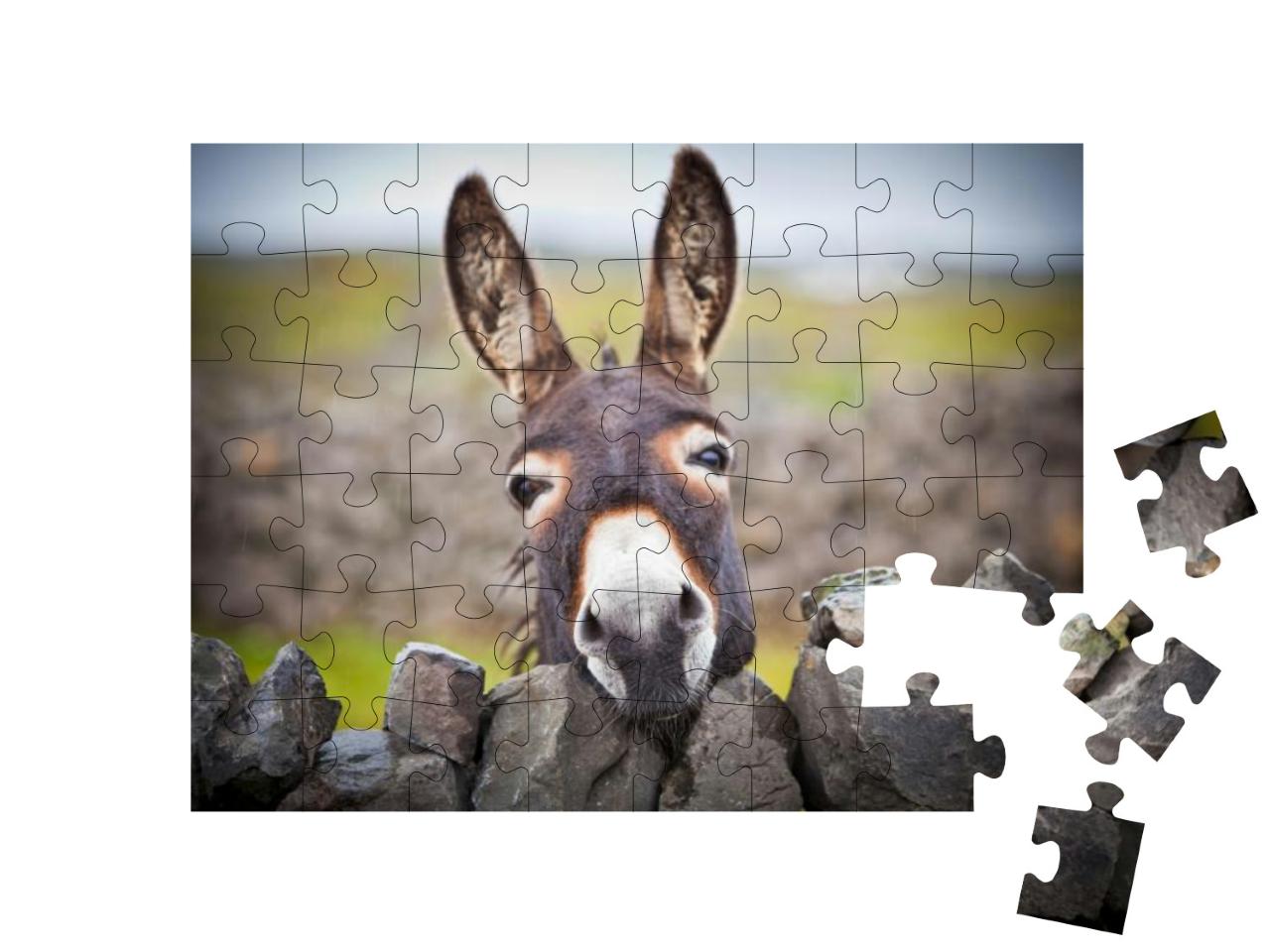 Puzzle 48 Teile „Ein neugieriger Esel“