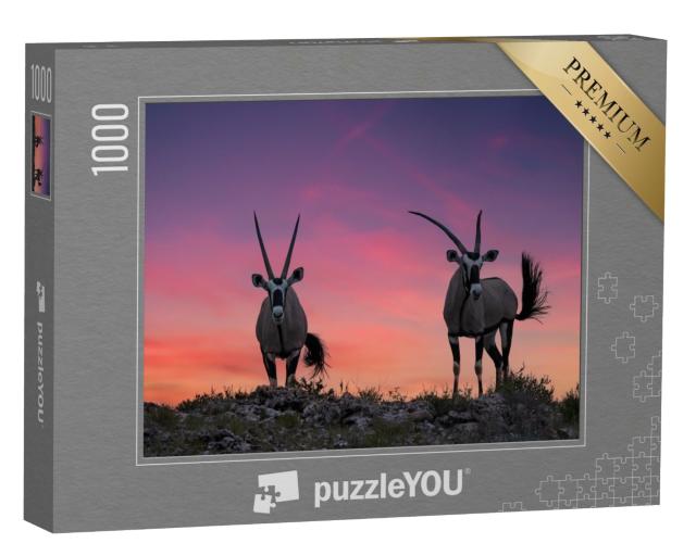 Puzzle 1000 Teile „Zwei große Antilopen mit spektakulären Hörnern, Kalahari“