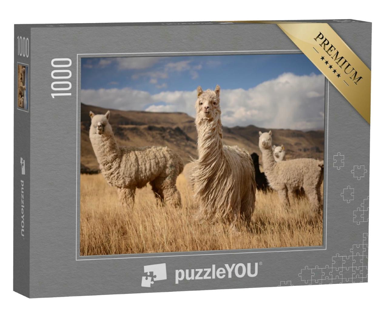 Puzzle 1000 Teile „Alpakas in den peruanischen Anden“