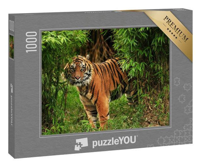 Puzzle 1000 Teile „Männlicher Königstiger“