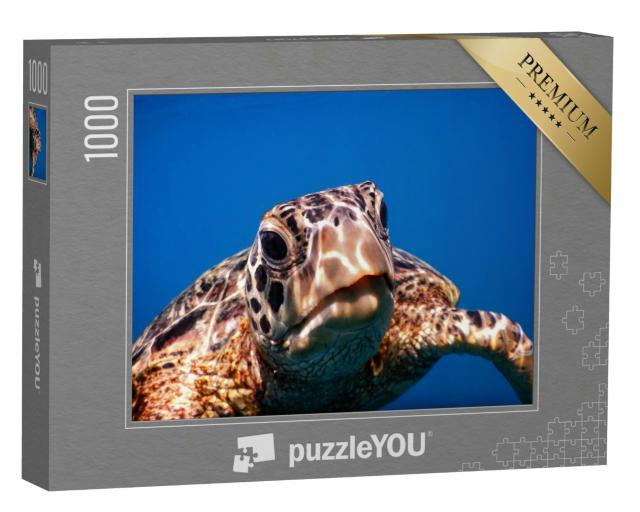 Puzzle 1000 Teile „Eine grüne Meeresschildkröte auf Savaii“