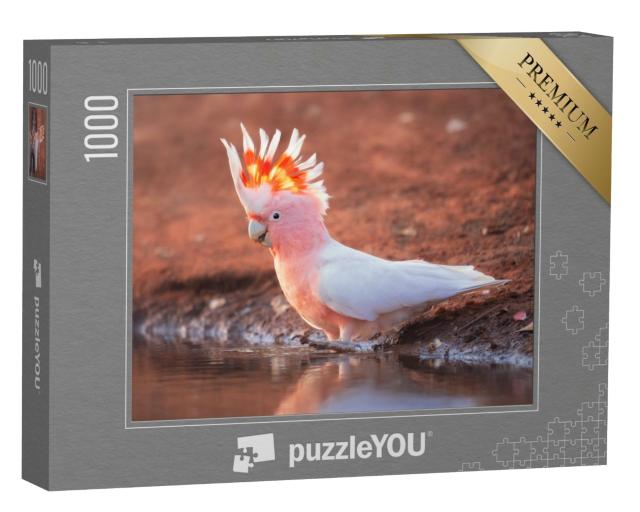 Puzzle 1000 Teile „Wilder Rosakakadu“