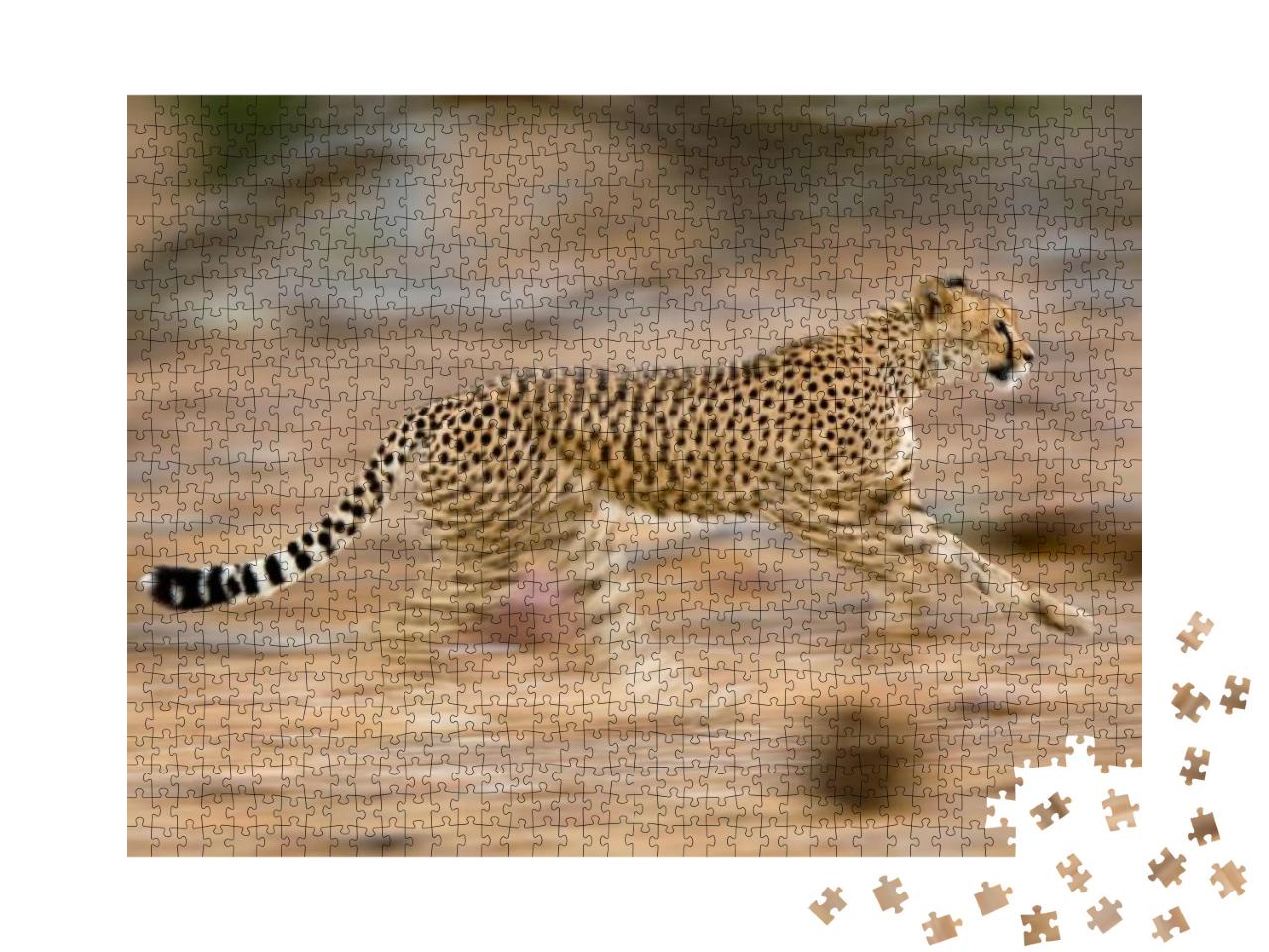 Puzzle 1000 Teile „Junger Gepard im schnellen Lauf “