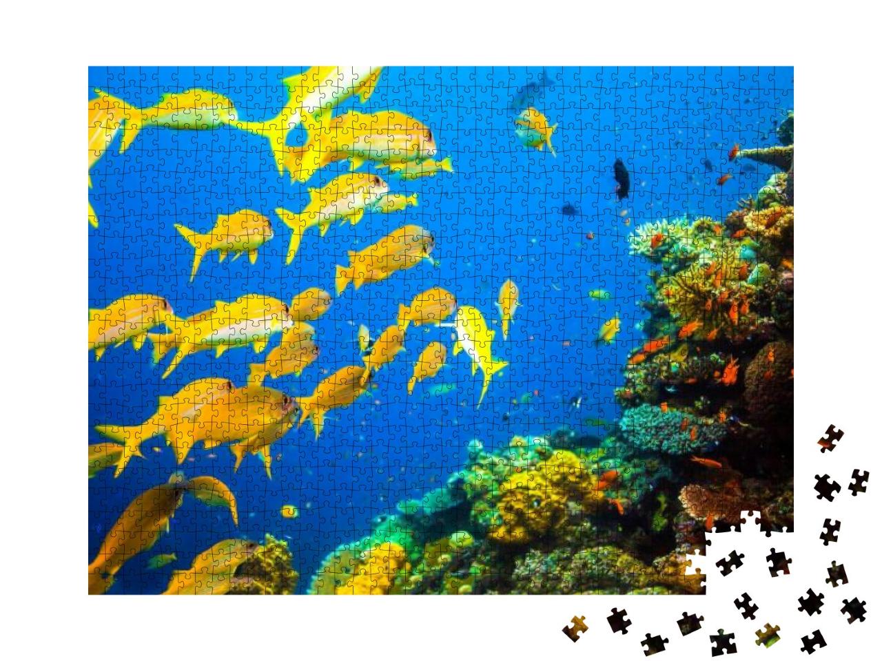 Puzzle 1000 Teile „Gelber Fischschwarm im Korallenriff“