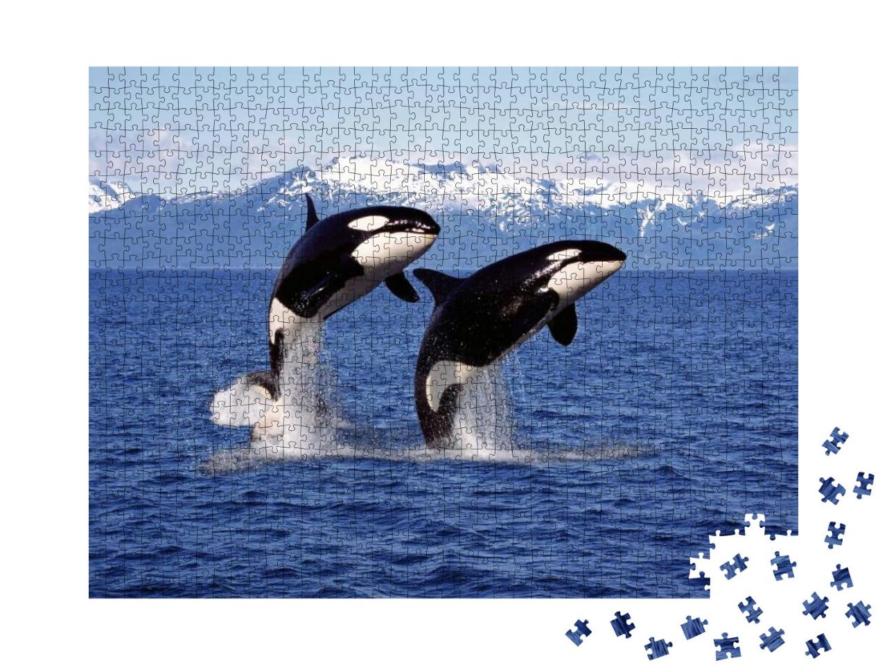 Puzzle 1000 Teile „Zwei Killerwale vor einer Berglandschaft“