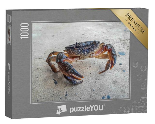 Puzzle 1000 Teile „Die schwarze Krabbe“