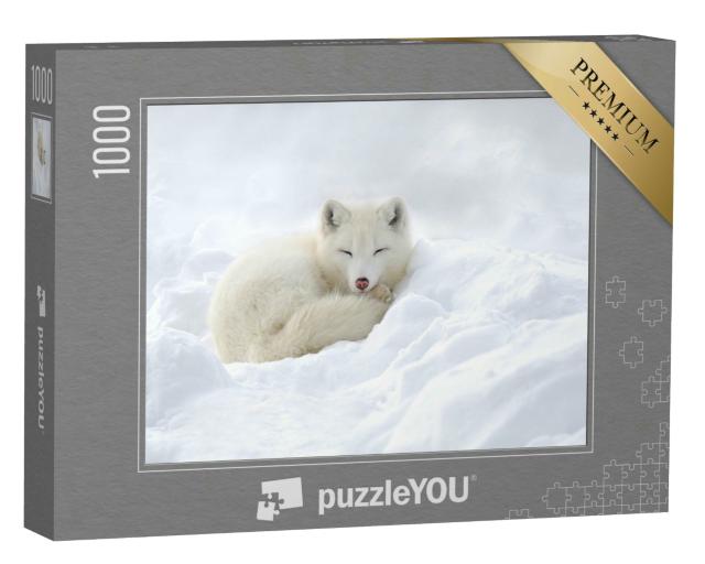 Puzzle 1000 Teile „Im Schnee eingekuschelter Polarfuchs“