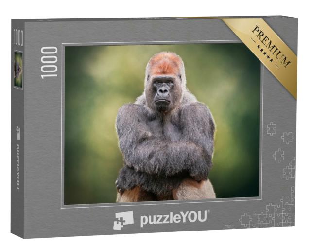 Puzzle 1000 Teile „Porträt eines Silberrücken-Gorillas, der seine Hände kreuzt“