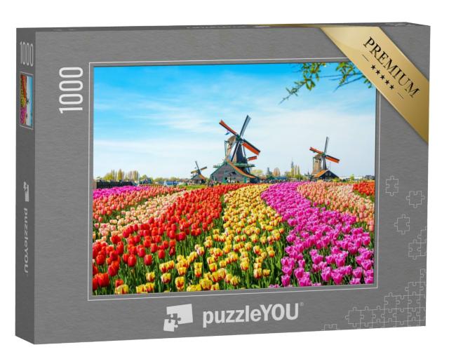 Puzzle 1000 Teile „Landschaft mit Tulpen und Windmühlen, Niederlande“