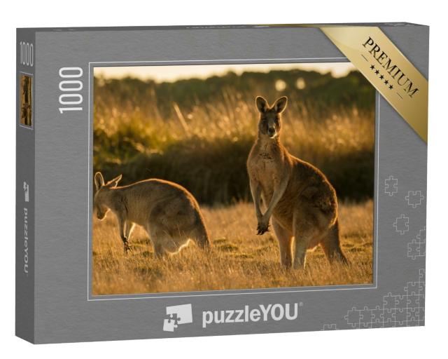 Puzzle 1000 Teile „Känguru bei Sonnenuntergang, offenes Feld“