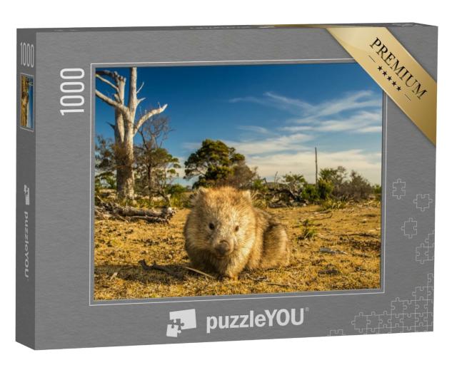 Puzzle 1000 Teile „Wombat beim Grasen im tasmanisch-australischen Busch“