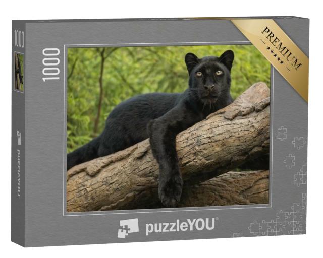 Puzzle 1000 Teile „Schwarzer Panther auf einem Baumstamm  “