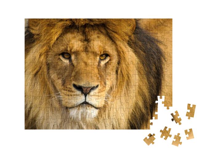 Puzzle 200 Teile „Portrait eines männlichen Löwen“